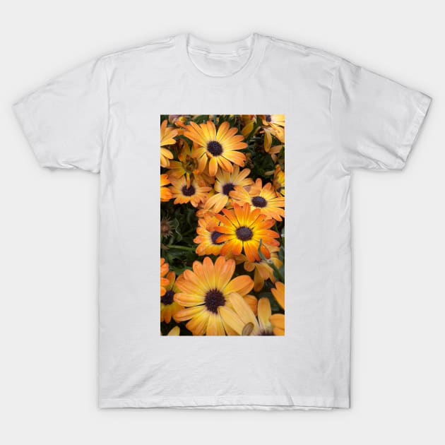 Orange Daisies T-Shirt by ElisabethFriday